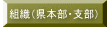 gDi{Exj