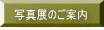 ʐ^Ŵē 