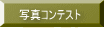 ʐ^ReXg 